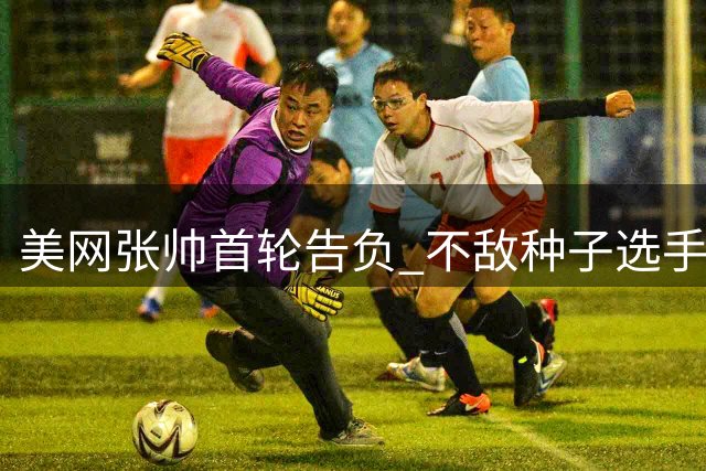 美网张帅首轮告负 不敌种子选手无缘晋级