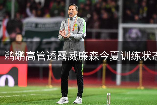 鹈鹕高管透露威廉森今夏训练状态：展现职业球员的极致专注